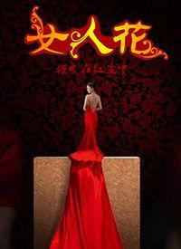 在线观看女人花,绽放的女性魅力与智慧